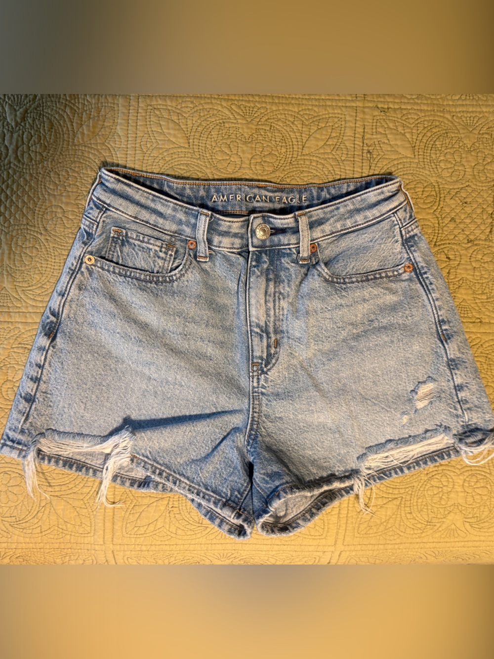 American Eagle Outfitters Light Wash Distressed Denim Shorts